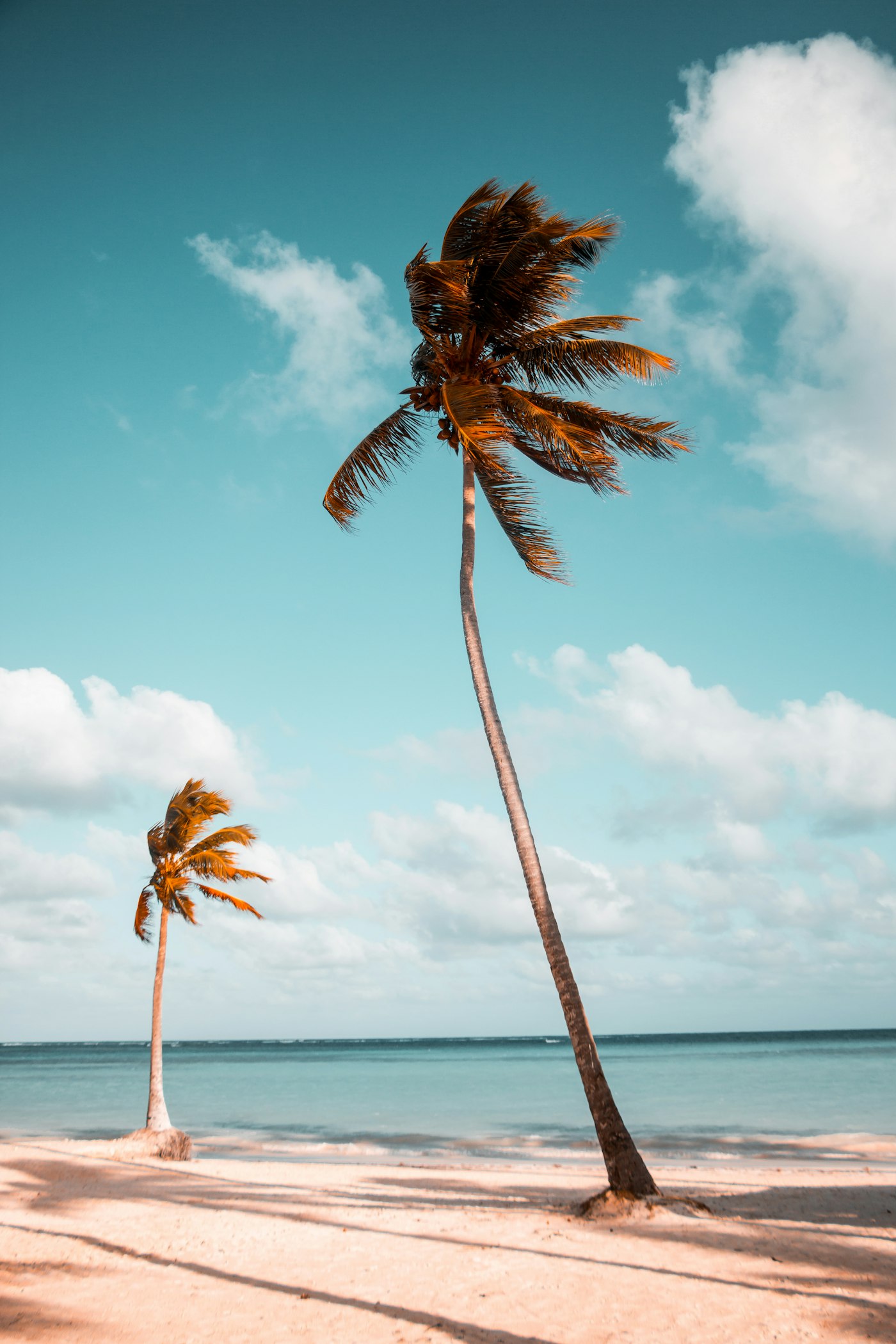 Isla Blanca